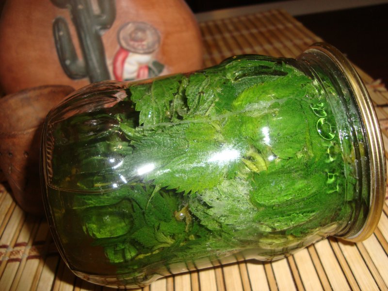 Маринованная крапива