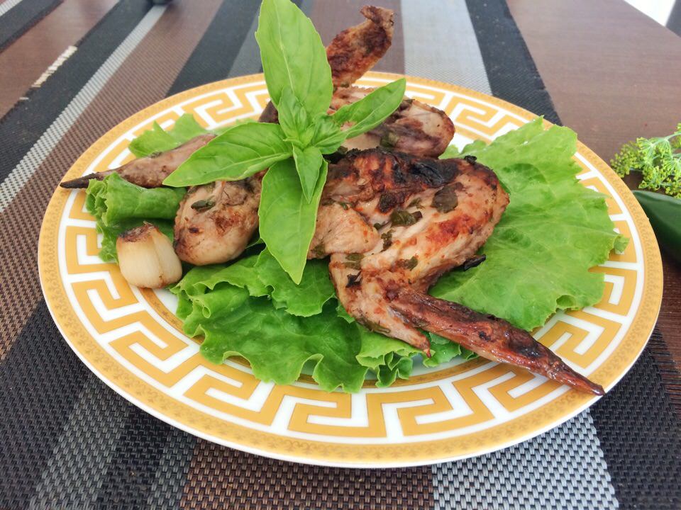 Шашлык из куриных крылышек с гранатовым соком