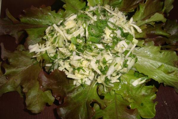 Салат из ранней капусты с зеленью