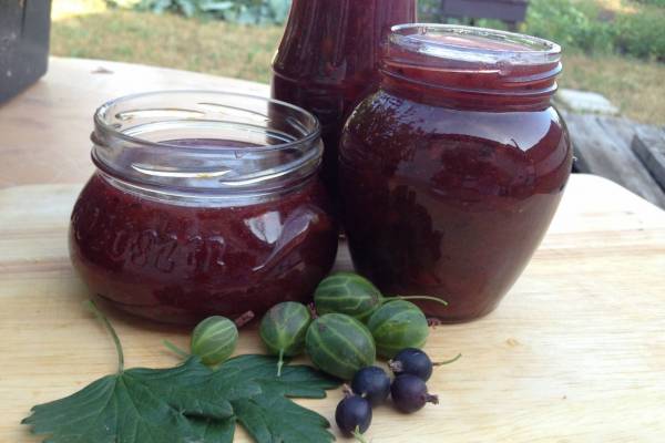 Варенье из крыжовника с апельсином