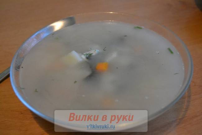 Вегетарианская уха